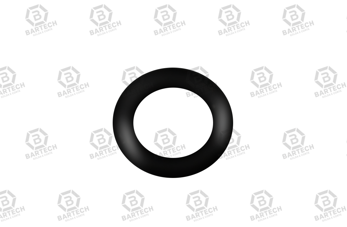 ANEL O´RING DO EURO